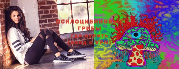 кокаин Белокуриха