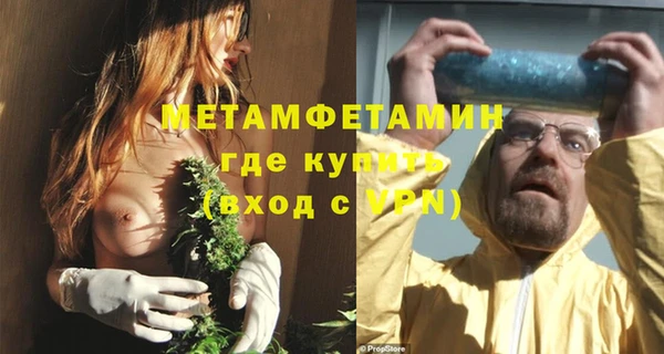 стафф Богданович