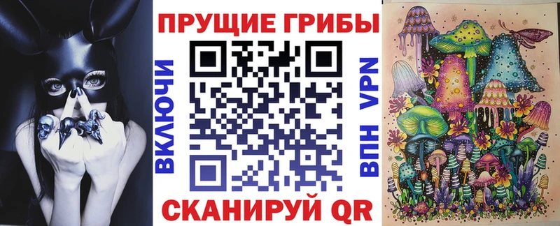 Псилоцибиновые грибы Psilocybe  Очёр 